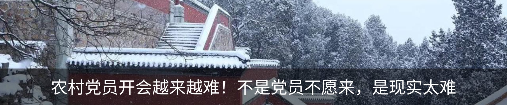 热点资讯
